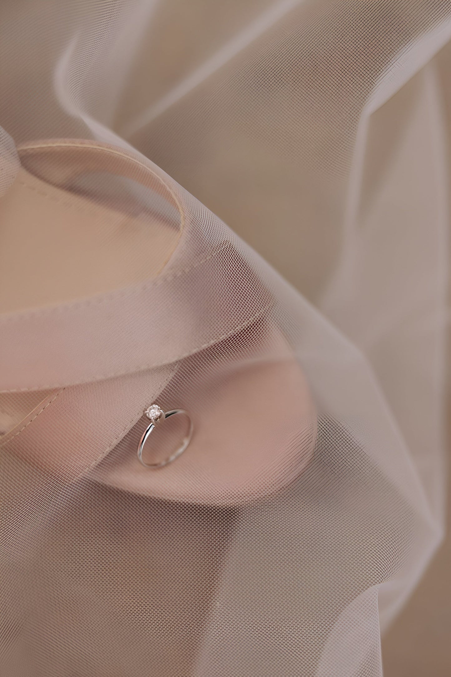 Zapatos Sabrina (12 cm)